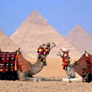 Cairo Day Tour by Flight from Sharm El Sheikh