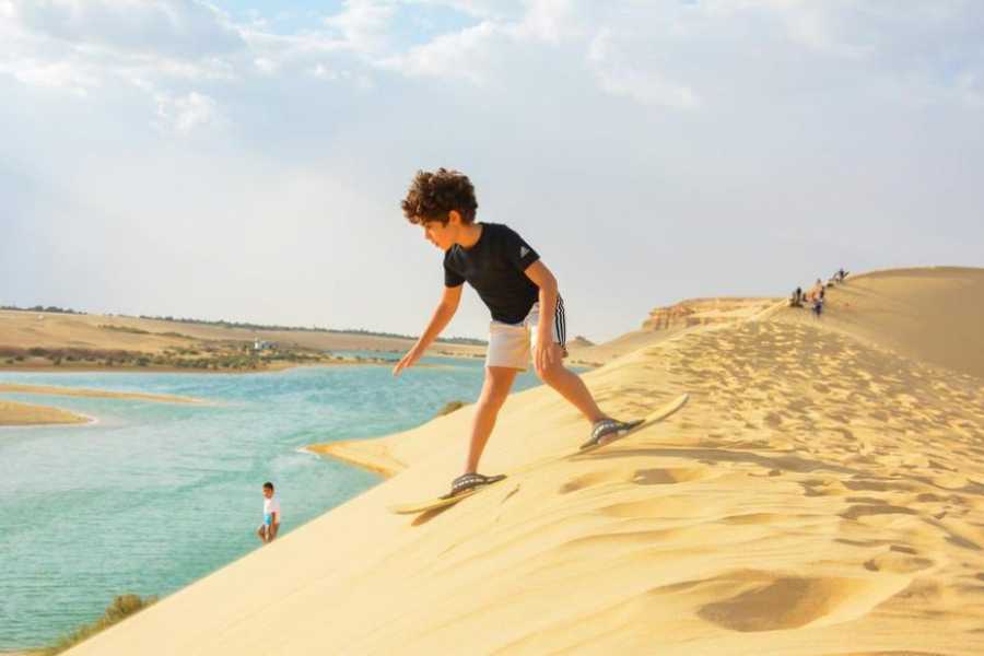 Fayoum Oasis: Wadi El Rayan & Valley of the Whales