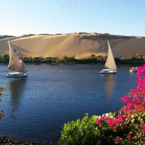 Aswan Botanical Garden & Felucca Ride on the Nile