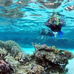 Ras Mohamed National Park Snorkeling by Boat