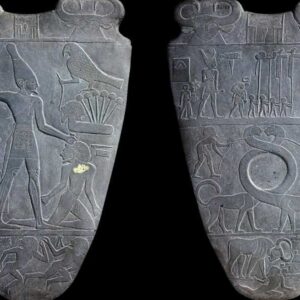 Cairo Highlights: Egyptian Museum, Cairo Tower & Nile River Cruise