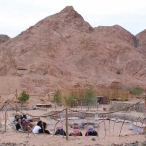1-Hour ATV Quad Bike Ride in Dahab