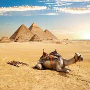 Pyramids, Museum & Camel Ride Adventure