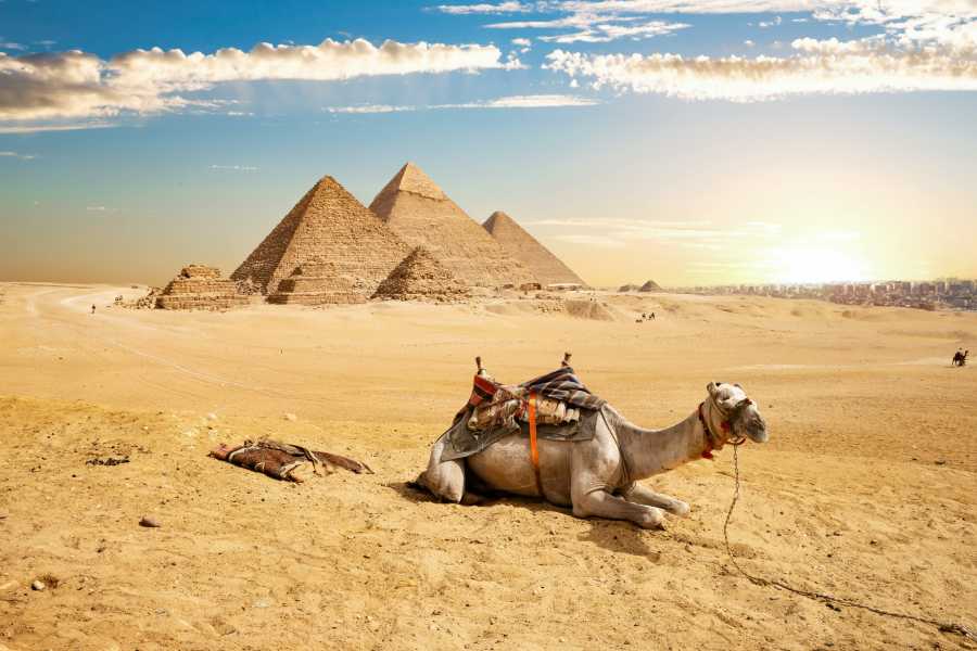 Pyramids, Museum & Camel Ride Adventure
