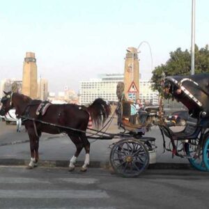 Cairo by Night and Free Walking Tours Experience