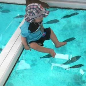 Glass Bottom Boat Tour in Sharm El Sheikh