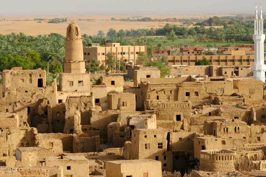 4 Days 3 Nights Bahariya & Dakhla Oasis from Cairo