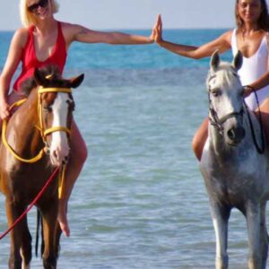 Desert Horse Safari Sunrise or Sunset in Hurghada