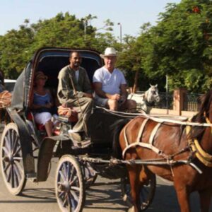 Luxor City Evening Tour by Horse Carriage