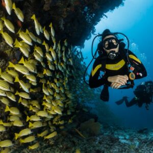 Hurghada Red Sea Snorkeling & Island Hopping Day Trip