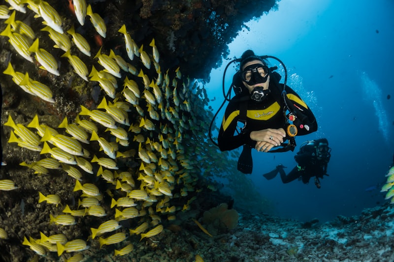 Hurghada Red Sea Snorkeling & Island Hopping Day Trip